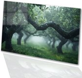 Mystieke appelboomgaard in mist - Natuur schilderij op glas - Wanddecoratie boom - Realistische kunst - Acrylglas schilderij - Muurdecoratie slaapkamer - acrylglas 105x70 cm