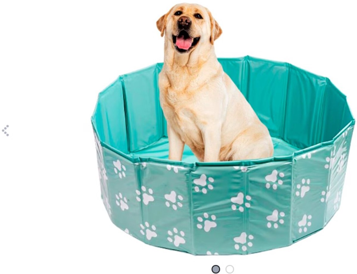 Dierenzwembad, Zwembad voor dieren, Hondenzwembad