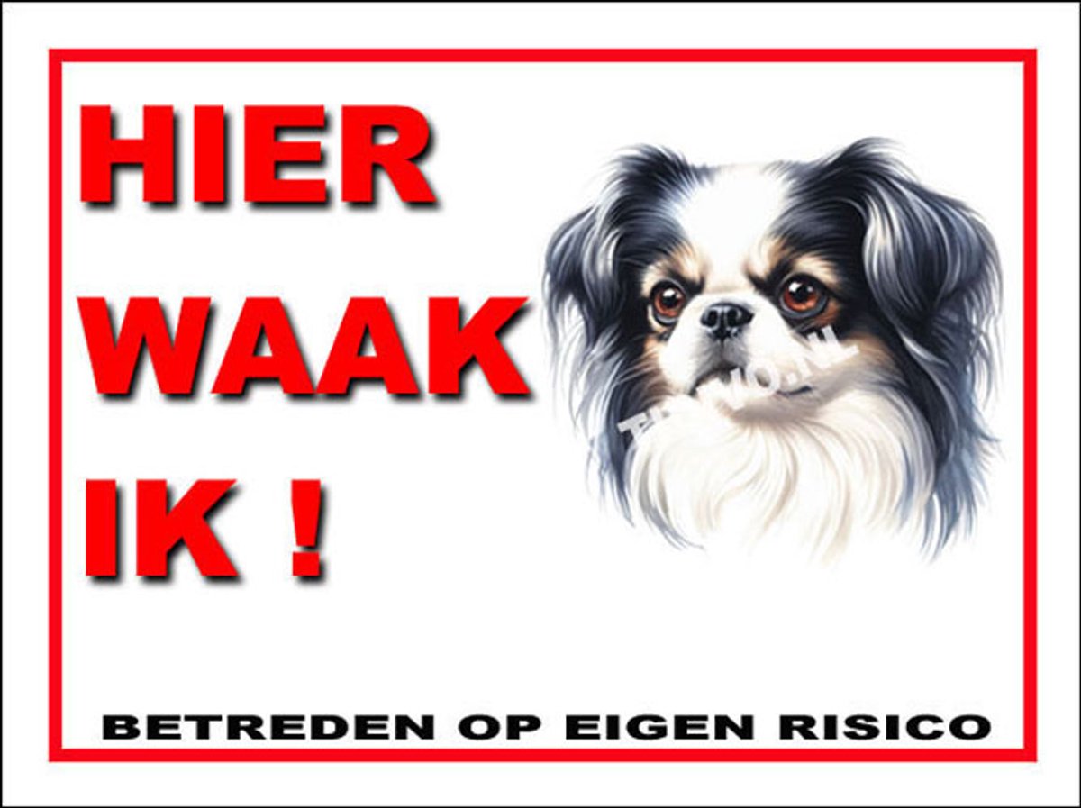 Japanse Spaniel 3