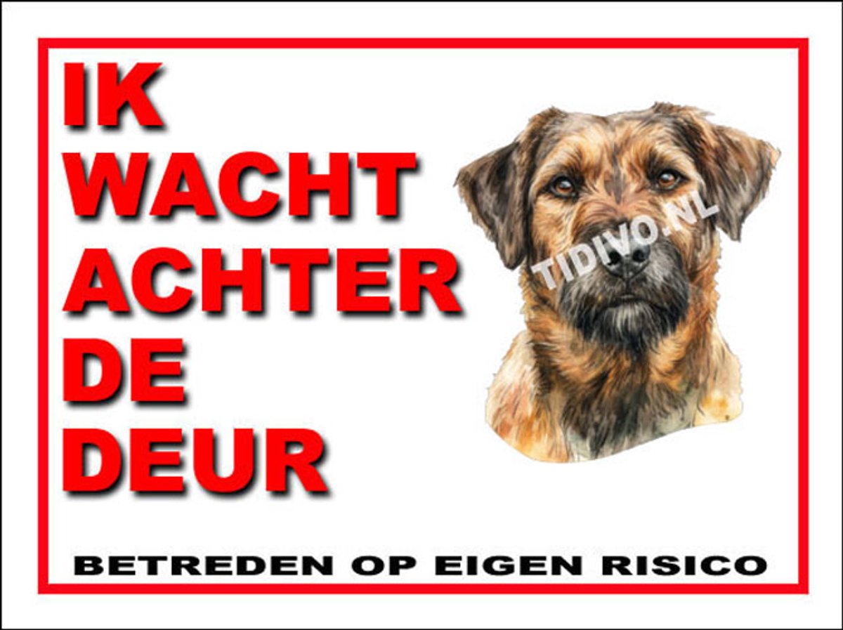 Kromfohrländer 10