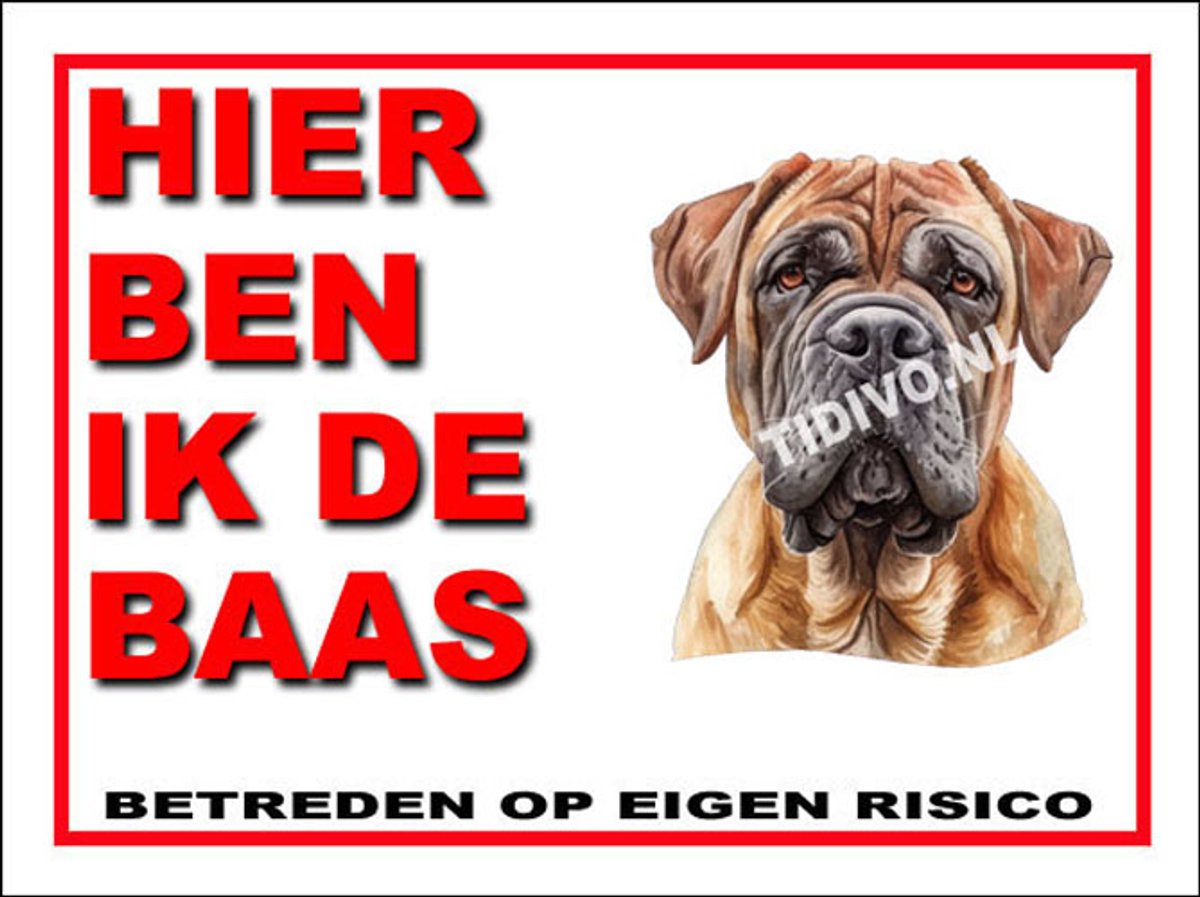 Kurdish Mastiff 2