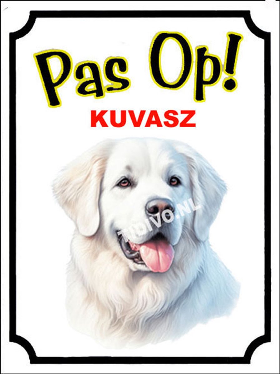 Kuvasz 16