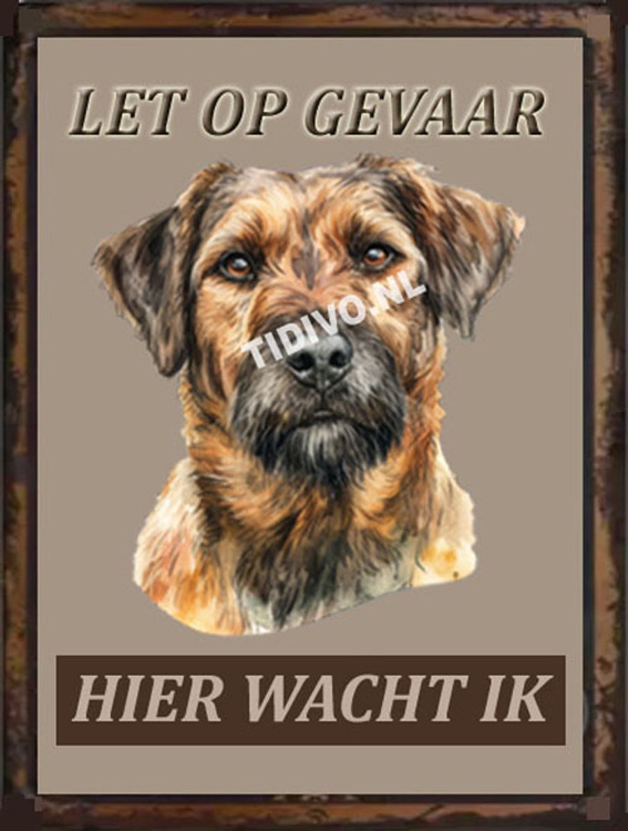 Kromfohrländer 18