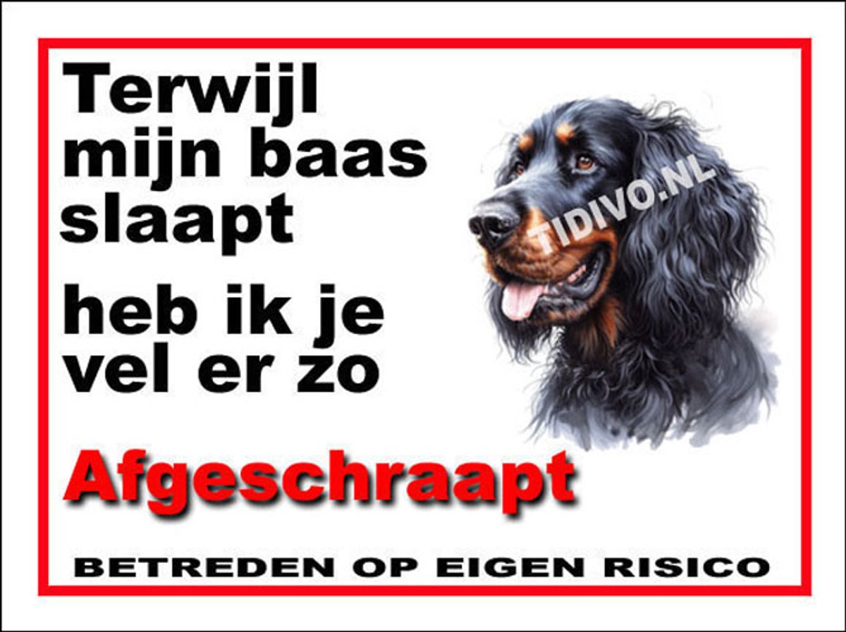 Gordon Setter 15