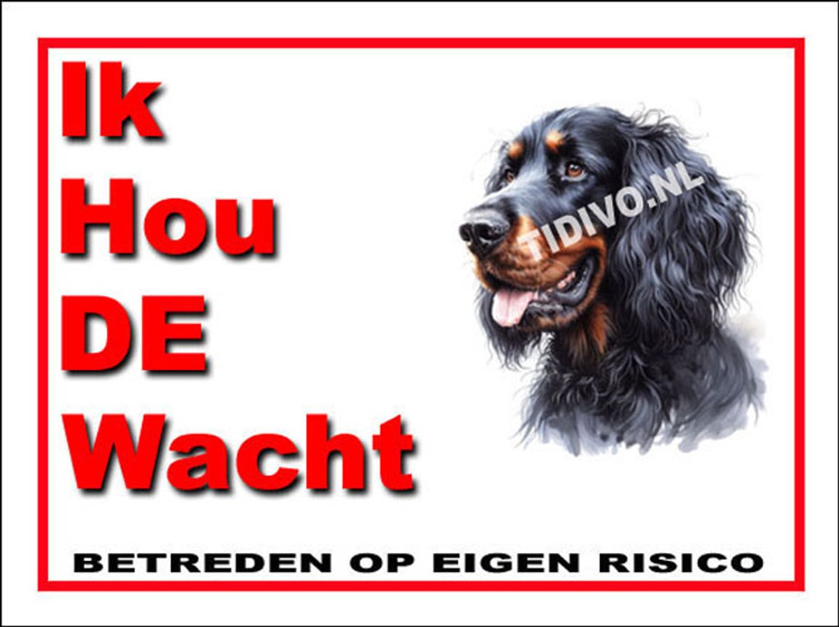 Gordon Setter 7