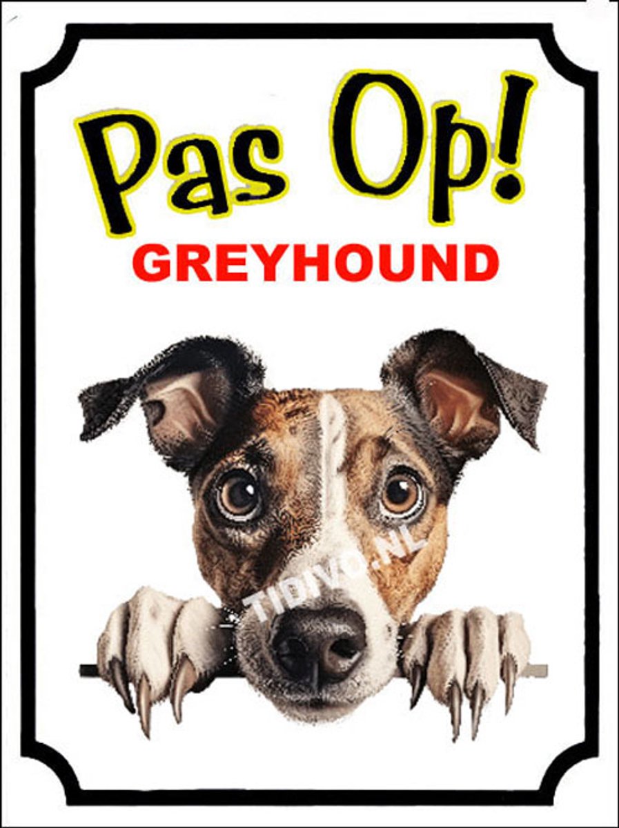 Greyhound 16