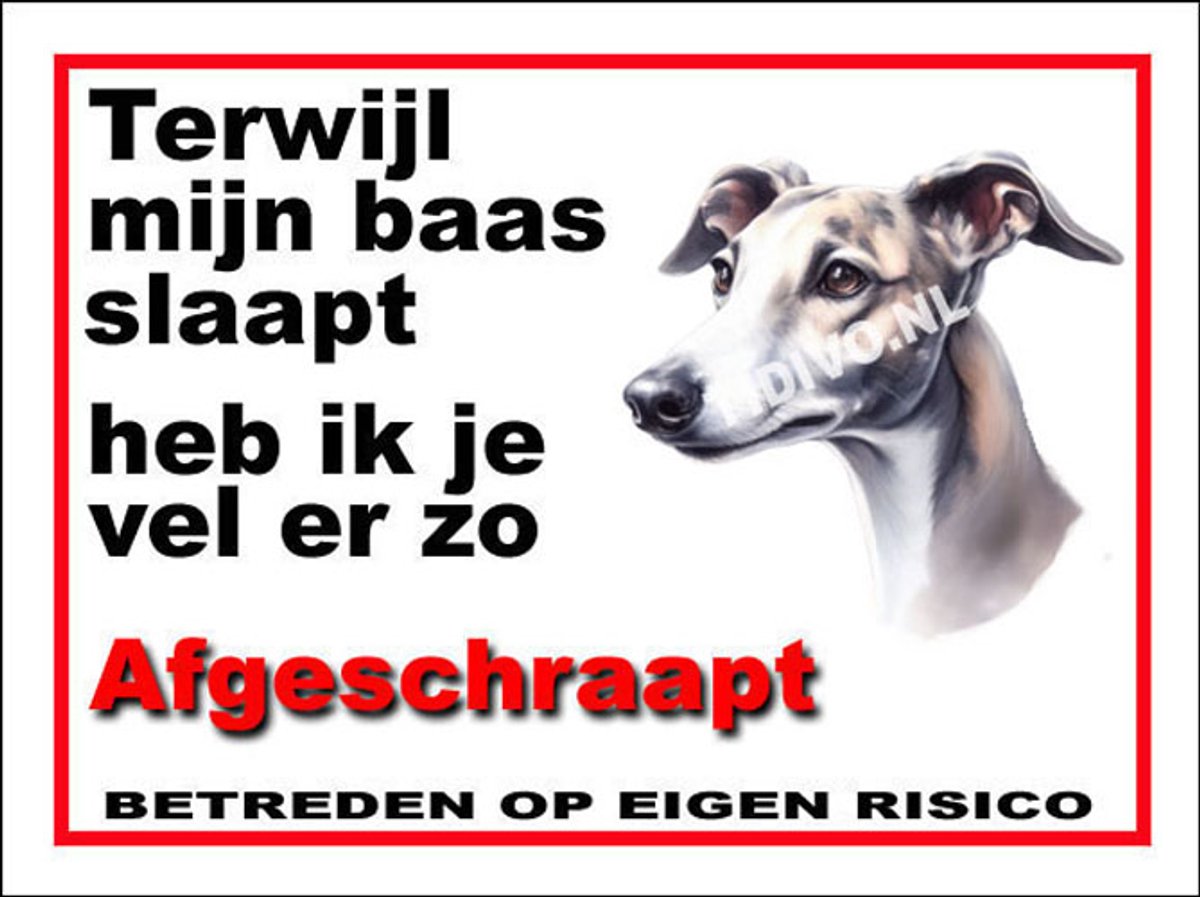 Greyhound 15