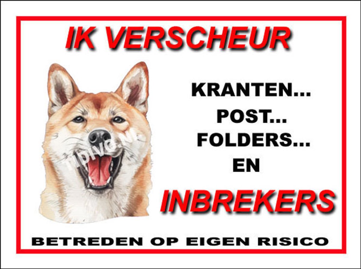 Kishu 8