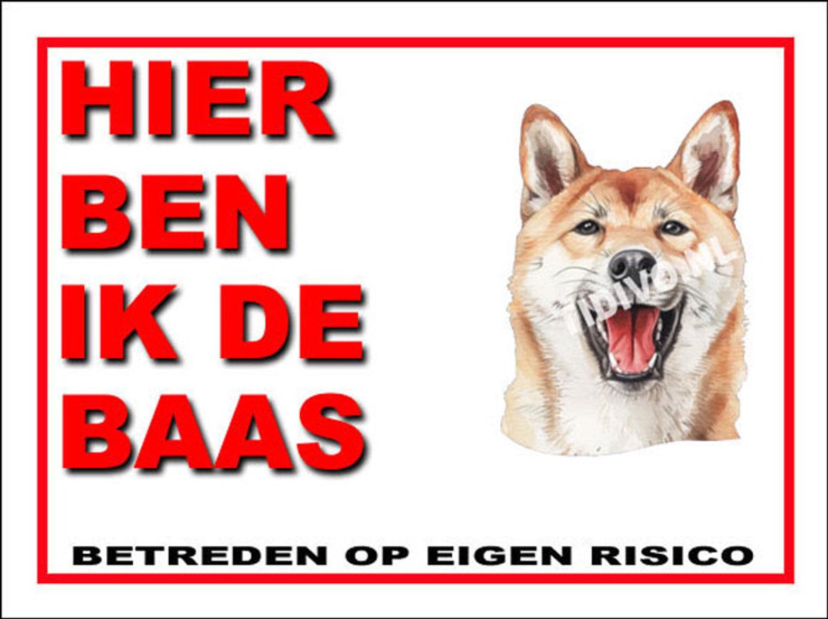 Kishu 2