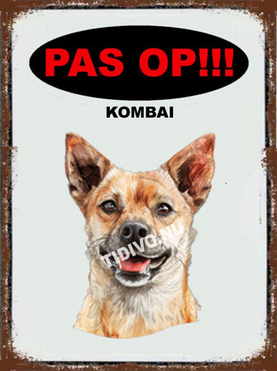 Kombai 17