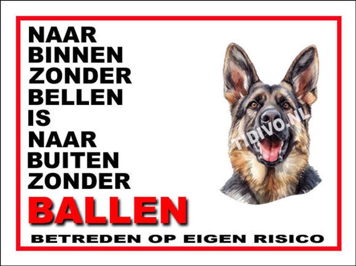 King Shepherd 11