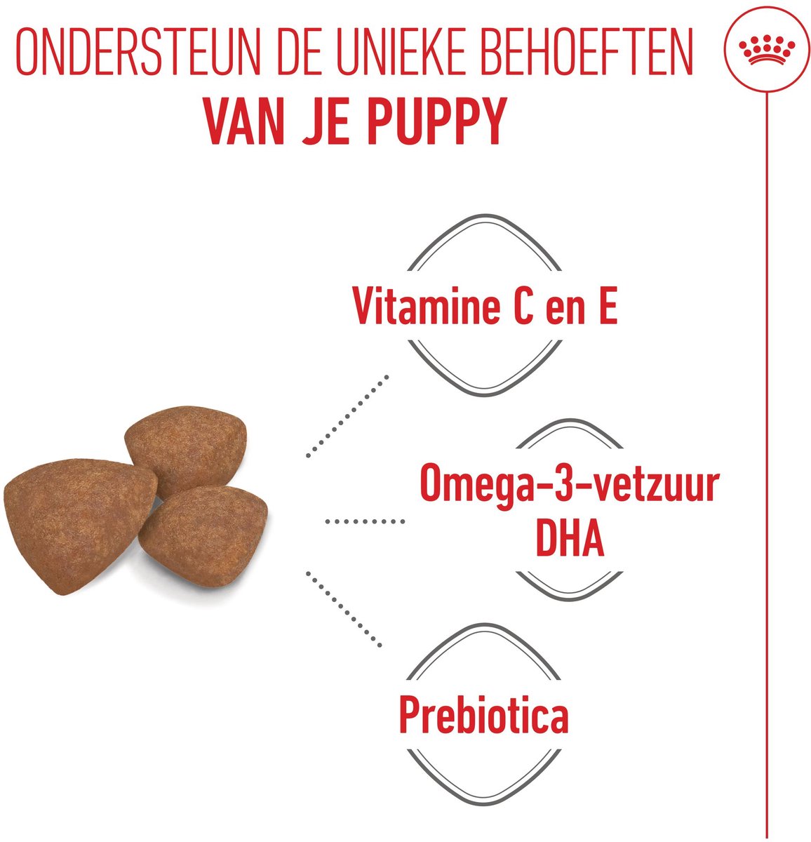 Royal Canin Mini - Puppy - 800 g - Hondenvoer thumbnail 3