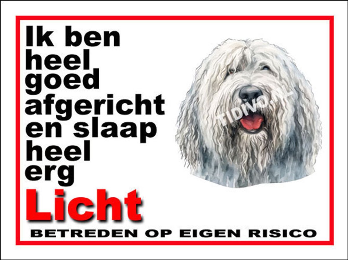 Komondor 4