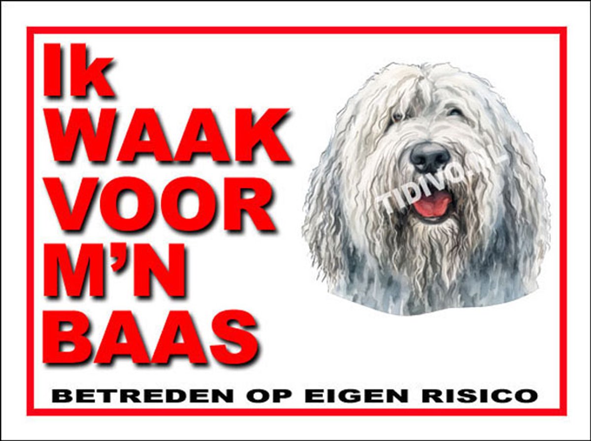 Komondor 9