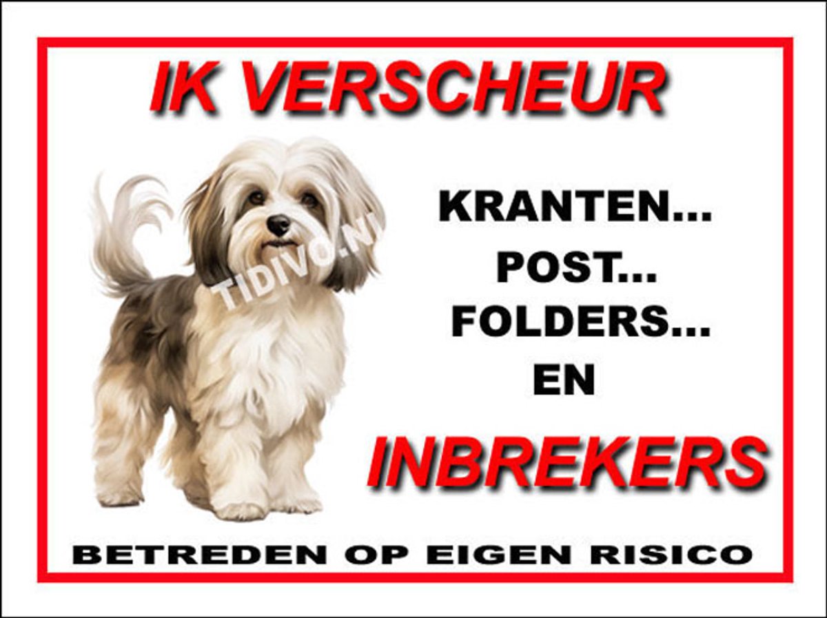 Havanezer 8