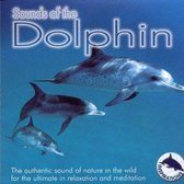Sounds of the Dolphin [E-Squared]