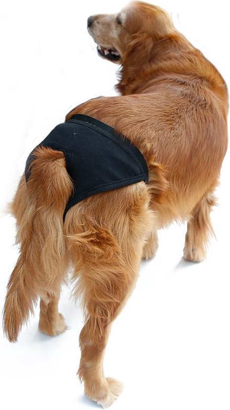 Hondenbroekje - luier voor teef - loopsheid - ongesteldheid - wasbaar -  BLACK - LARGE | bol.com