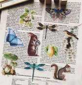 Flora & Fauna Stickers - 3 - Die Cuts- 50 stuks vintage vellum stickers