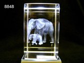 Glasblokje Indische olifant