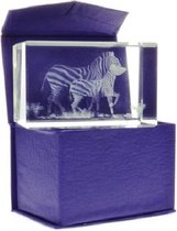 Glasblokje zebra