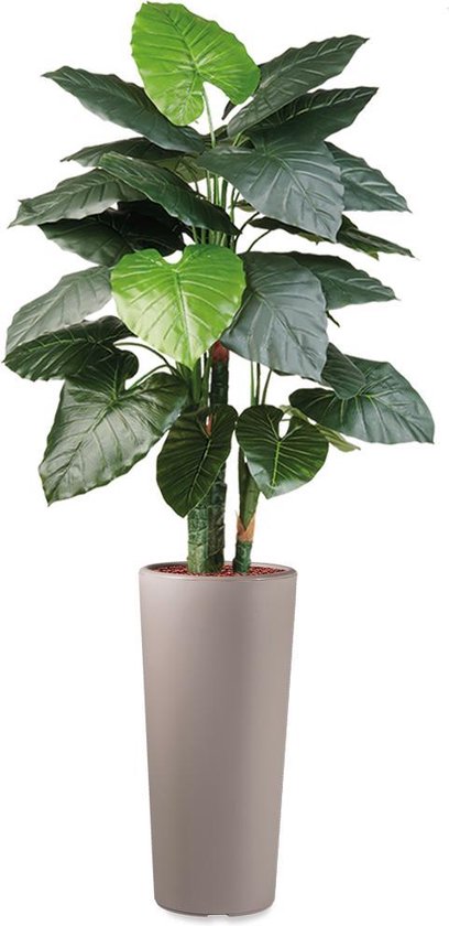 HTT - Kunstplant Philodendron in Clou rond taupe H185 cm