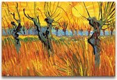 Handgeschilderd schilderij Olieverf op Canvas - Knotwilgen van Vincent van Gogh