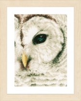 Kit de comptage Owl - Lanarte - PN-0163781