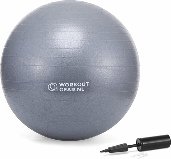 Workout Gear - Fitness Bal - Gym Ball - Yoga bal - Pilates bal - 65cm | bol .com