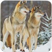 onderzetter 2 wolven (6)*