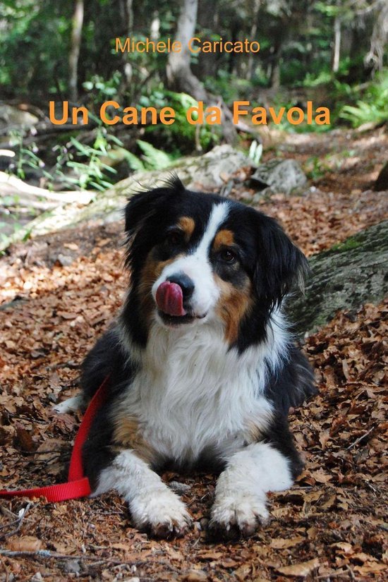 Un cane da favola - cover