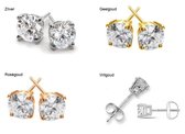Witgouden oorstekers met echte diamanten 0.24 crt  G - VS1 Goud
