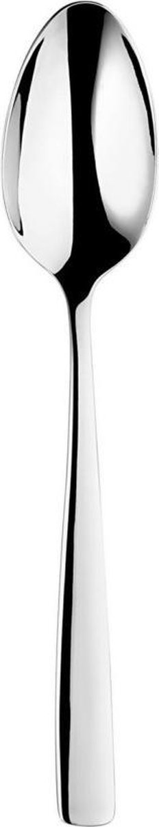 Eternum Signature Atlantis Dessertlepel - 21,1 cm - 18/10 RVS