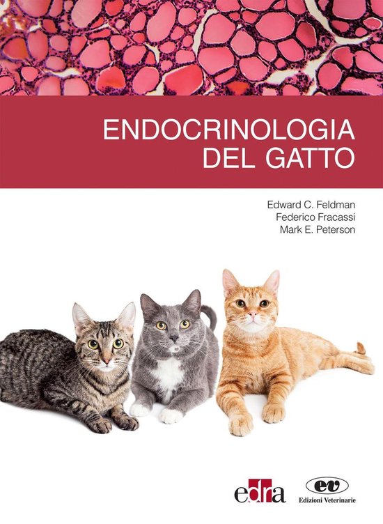 Endocrinologia del gatto - cover
