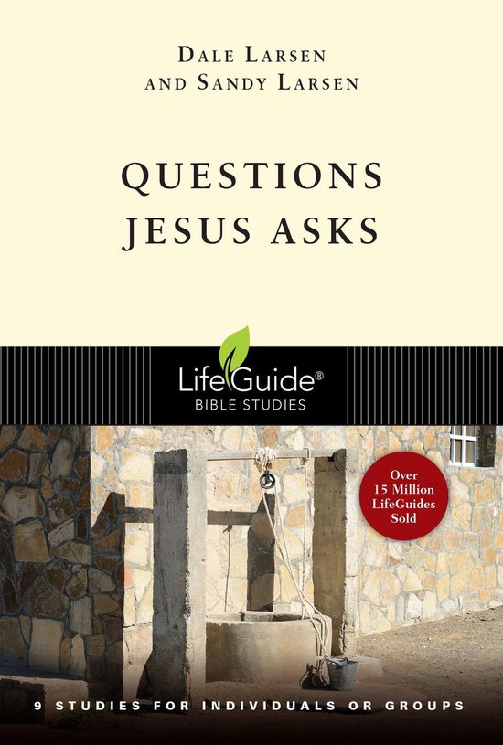 Busyness: Finding God in the Whirlwind (LifeGuide Bible Studies)