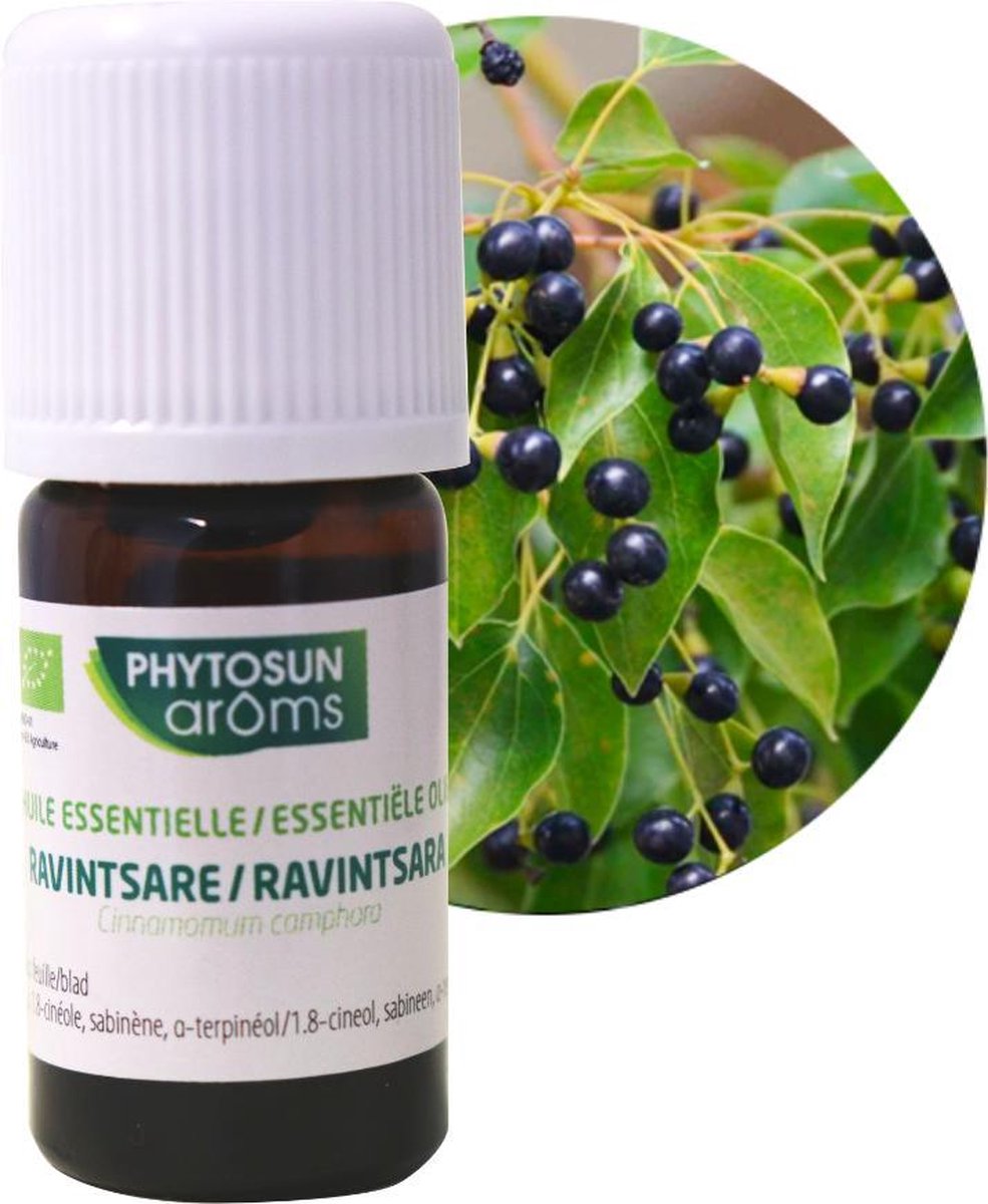 Goedkoopste Phytosun Essentiële Olie Ravintsara Bio – tegen burn out 5ml