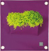 Plantenbak Bloomingwalls The Green Pockets AMMA1 - Purple