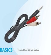 Basics 5 mtr 3,5 mm Male jack - Male Tulp /RCA aux audio kabel