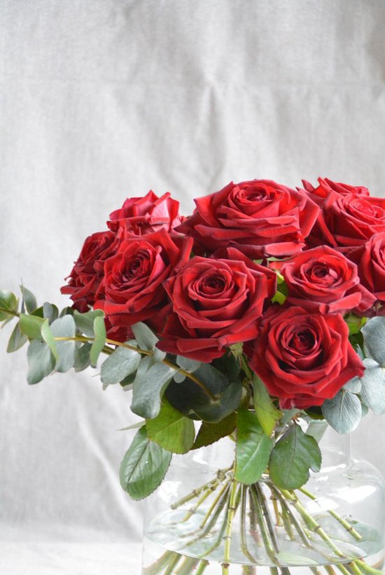 Valentijn cadeautje vrouw Rode rozen Boeket - - Valentijn | bol.com