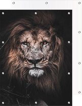 Tuinposter Leeuw | 60 x 90 cm | PosterGuru