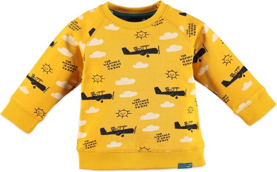 | Babyface Jongens Sweater CORN Maat 56 Babyface baby jongens trui