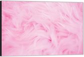 Dibond –Roze vachtje– 90x60 Foto op Aluminium (Wanddecoratie van metaal)