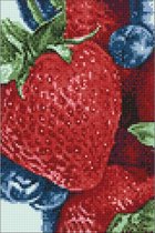 Wizardi Diamond Painting Kit Fresh Berries WD050