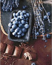 Wizardi Diamond Painting Kit Chocolate and Blueberries WD046