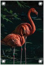 Tuinposter –Flamingo's in Water– 60x90cm Foto op Tuinposter (wanddecoratie voor buiten en binnen)