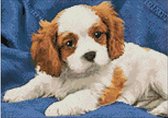 Wizardi Diamond Painting Kit Spaniel Puppy WD2415