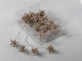 Kerststekers - Pet 36 Mini 3-d Stars On Pin Champagne 3 Cm