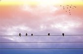 Poster vogels zonsondergang | Dieren poster | Poster natuur| Poster zonsondergang | Poster dieren