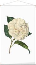 Textielposter Botanisch Witte Camelia Aquarel (Camelia) - 60 x 105 cm