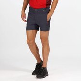 Regatta Walking Shorts Grey