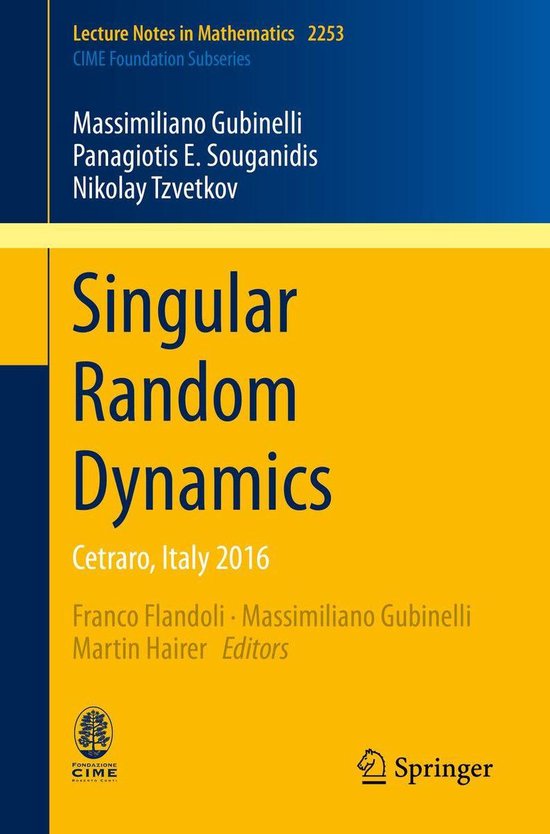 Mathematics and Statistics (R0) - Singular Random Dynamics - cover
